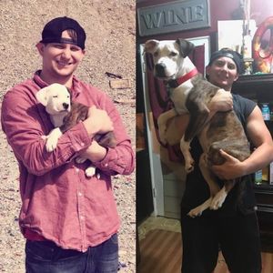 Meet your Posher, Joshua